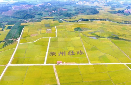 廣西：圈定富硒土壤為全國之最