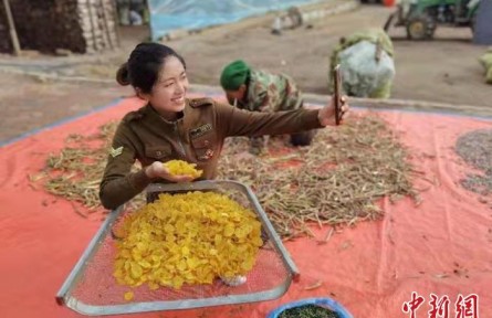 “90后”大學生劉佳寧：返鄉(xiāng)“帶貨”振興故鄉(xiāng)