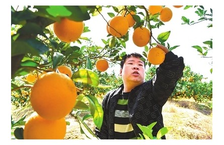 “小老弟”廖竹生的奮斗人生：身殘志堅 電商托起致富夢