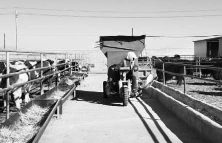 青海海西州：鄉(xiāng)村振興里的“?！惫适?></a></td>
<td align=