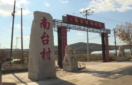 山東省煙臺市牟平區(qū)南臺村：特色種植 搭上致富“快車”