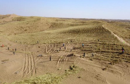 郭萬剛：“沙漠不退人不退，草木不活人不走”