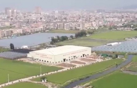 廣東：構(gòu)建現(xiàn)代農(nóng)業(yè)產(chǎn)業(yè)新體系 助力鄉(xiāng)村振興