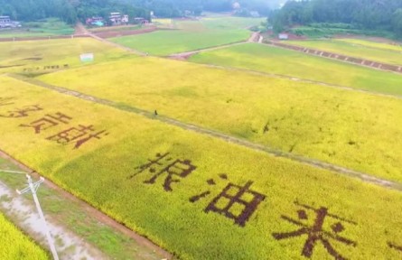 四川巴中恩陽區(qū)：智慧種地 藏糧于地