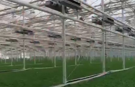 陜西:創(chuàng)新“云端”教學(xué)模式 為上合組織農(nóng)業(yè)合作基地“披新衣”