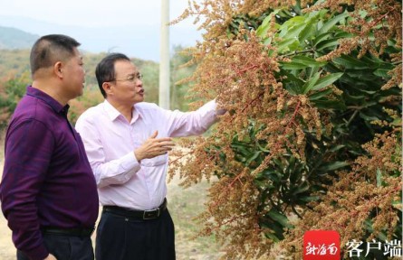 陳業(yè)淵：投身海南熱帶種業(yè)科研37年