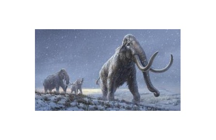 165萬年前“最古老”DNA如何被發(fā)現(xiàn)？