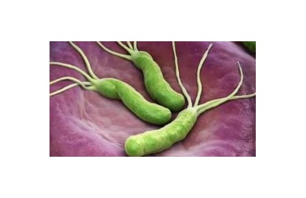 “殺幽牙膏”真能殺滅幽門螺旋桿菌嗎？