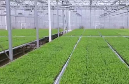 貴州：多措并舉確?！安嘶@子”貨足價(jià)穩(wěn)