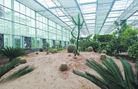 山東菏澤東明縣三春集鎮(zhèn)孔寨村：生態(tài)產(chǎn)業(yè)助推鄉(xiāng)村振興