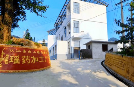 貴州從江趙金錢：帶領群眾“泡”出好日子