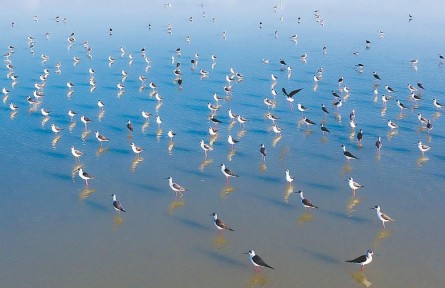 安徽：浪花里飛出歡樂的歌