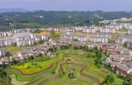 鄉(xiāng)村振興補(bǔ)齊農(nóng)業(yè)農(nóng)村短板 推動(dòng)中國農(nóng)業(yè)現(xiàn)代化發(fā)展