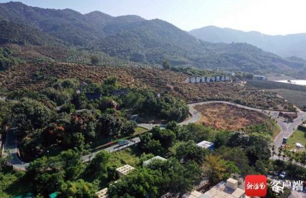 共享農(nóng)莊成為海南“三農(nóng)”新品牌 已創(chuàng)建試點(diǎn)200家