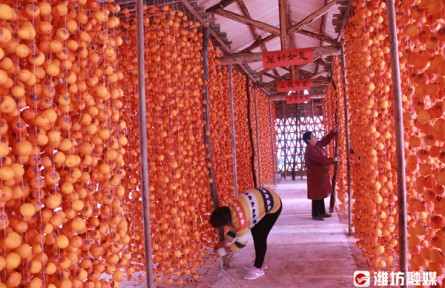 山東濰坊：“趕考”鄉(xiāng)村振興 肩并肩接續(xù)奮戰(zhàn)