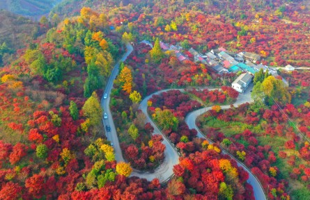 浙江：四明山風(fēng)景惹人醉