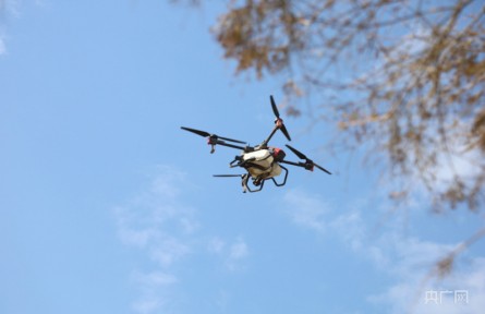 都市金領“慧”種地 拒絕“躺平”帶老鄉(xiāng)轉(zhuǎn)型新農(nóng)人