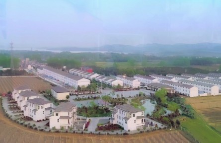 美麗鄉(xiāng)村，振興有我 | 安徽鳳陽：記四位農(nóng)村青年在鄉(xiāng)村廣闊舞臺上奮斗青春