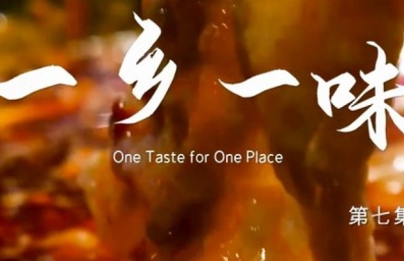 美麗中國·The Great Beauty of China: One Taste for One Place