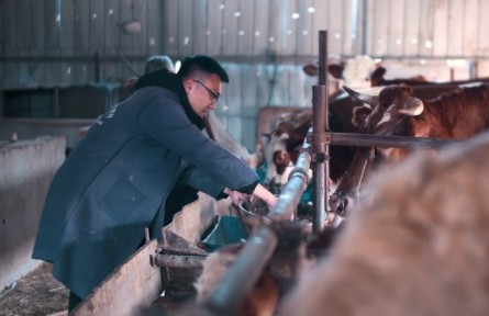 美麗鄉(xiāng)村，振興有我 | 安徽鳳陽(yáng)：大學(xué)生“鄉(xiāng)官”耿陽(yáng)扎根基層投身鄉(xiāng)村振興?