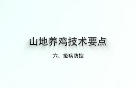 山地養(yǎng)雞技術(shù)要點(六):疫病防控