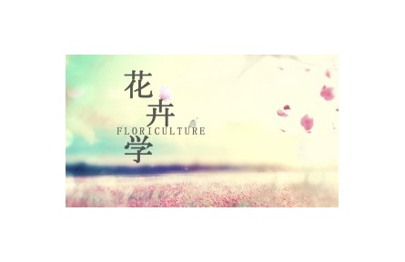 《花卉學(xué)》系列講座視頻