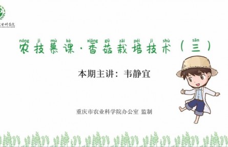 香菇栽培技術(shù)（三）