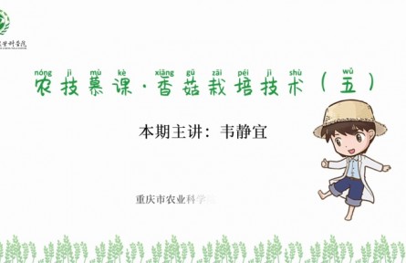 香菇栽培技術(shù)（五）