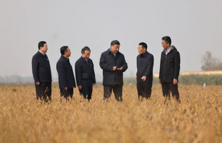 中央農(nóng)村工作會(huì)議部署糧食安全，總書記為何強(qiáng)調(diào)“責(zé)任”兩個(gè)字