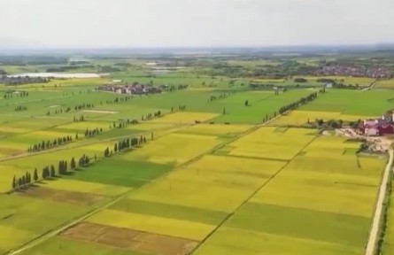 【穩(wěn)字當(dāng)頭 穩(wěn)中求進(jìn)：怎么看 怎么辦】守住兩條底線 夯實(shí)“壓艙石”