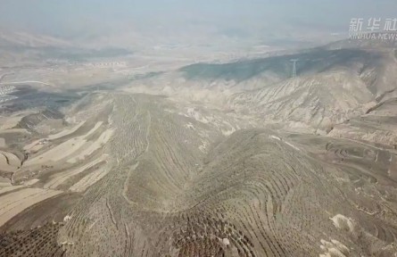 甘肅：“戴帽子 披褂子”安定荒山換新裝的“綠色密碼”