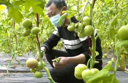 新疆：學(xué)深悟透 凝聚鄉(xiāng)村振興工作合力