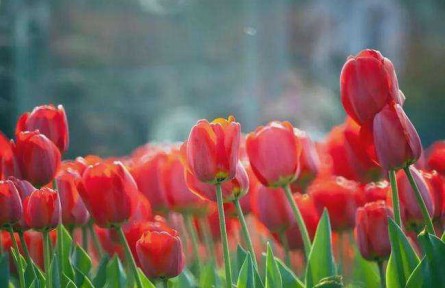 長(zhǎng)安論道 | 做對(duì)了做好了，才叫做實(shí)了