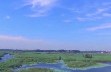 雄安新區(qū)白洋淀步入全國良好湖泊行列