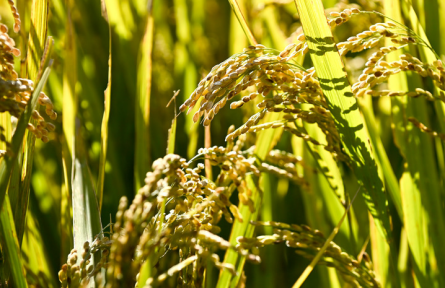 中央部委密集開(kāi)會(huì)，2022年要干哪些民生實(shí)事？