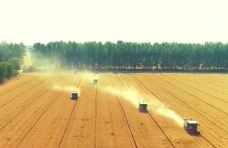 河南：奮勇爭先 讓新時(shí)代中原更加出彩