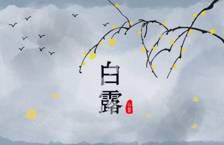 白露，繁華季節(jié)的謝幕