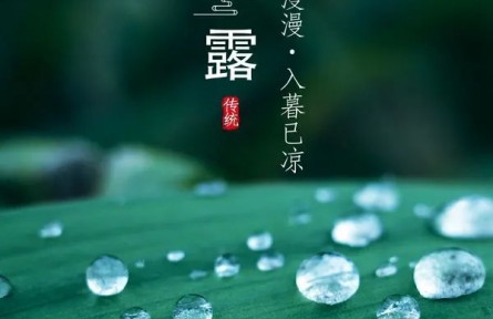 寒露，露似真珠月似弓