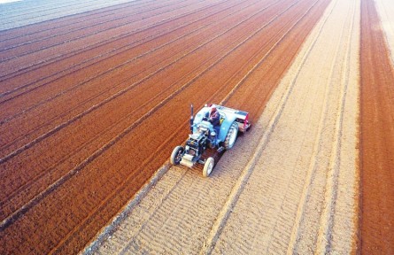 山東省聊城市：“托”起鄉(xiāng)村新希望 “管”出發(fā)展好效益