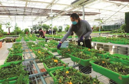 山東省威海市文登區(qū)：“紅色引擎”激發(fā)鄉(xiāng)村治理蝶變