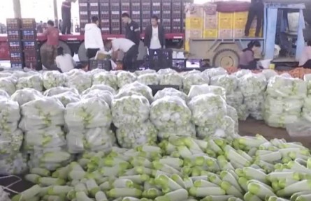 2022年春節(jié)期間“菜籃子”產(chǎn)品供應(yīng)總量充足