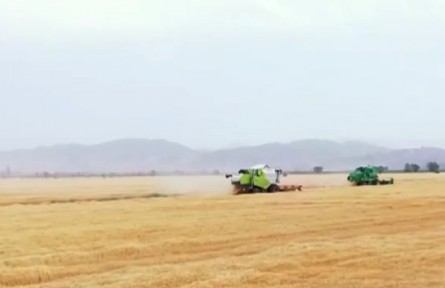 2021年中國(guó)農(nóng)業(yè)農(nóng)村發(fā)展取得顯著成效