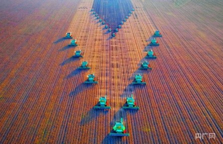 黑龍江：北國(guó)倉(cāng)廩端穩(wěn)“中國(guó)飯碗” 共和國(guó)工業(yè)搖籃擁抱數(shù)字浪潮