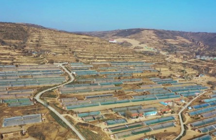 寧夏彭陽：大力發(fā)展設施蔬菜產(chǎn)業(yè) 守好群眾“菜籃子”