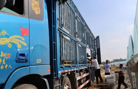 海南昌江： 特色“訂單農(nóng)業(yè)”助力農(nóng)民增收致富