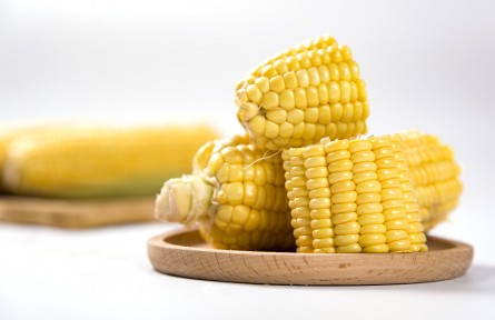 辟謠 | 警惕這4種“偽粗糧”，很多人都沒有吃對！