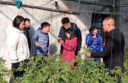 科技特派員：讓雪域高原的“菜籃子”裝滿“真金白銀”