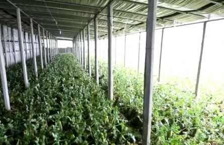 天津啟動(dòng)助農(nóng)行動(dòng)