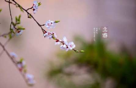 立春，春到人間草木知