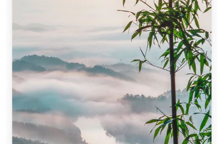 名人名言 | 孔子：其身正，不令而行；其身不正，雖令不從